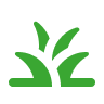 Grass Cutting Icon