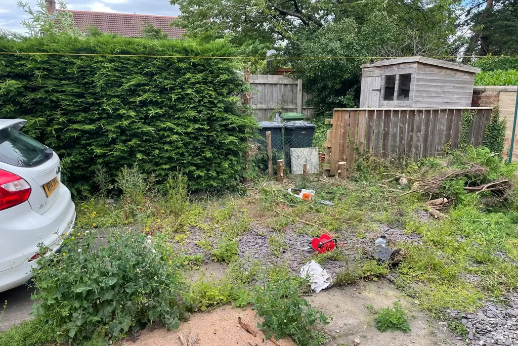 Garden Clearance 1 of 4