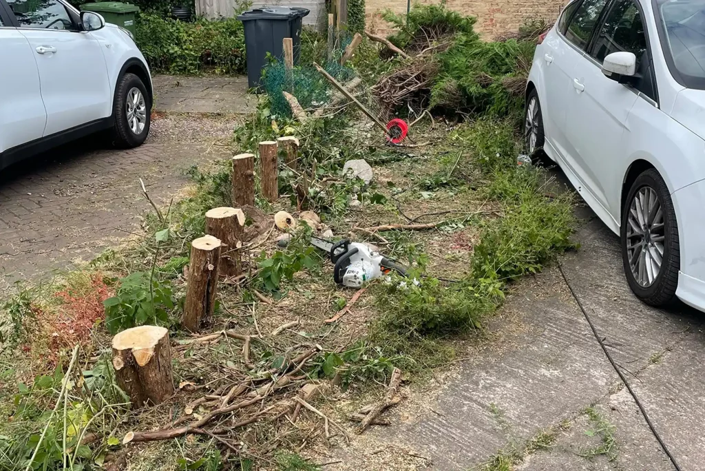 Garden Clearance 2 of 4